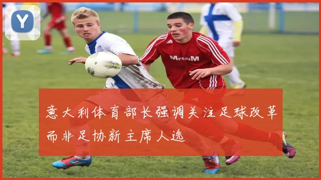 意大利体育部长强调关注足球改革而非足协新主席人选