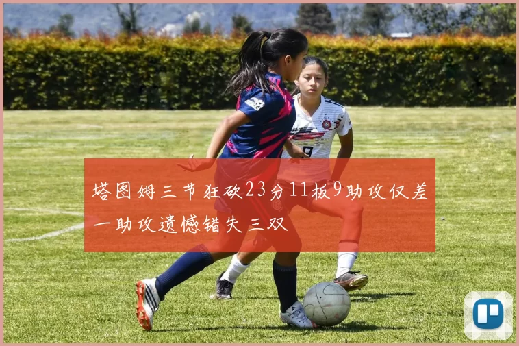 奖项证书